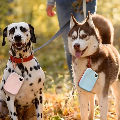 Silicone Pet Food Pouch Outdoor Dog Walking Bag Training Dog Treat Pouch Portable Waterproof  Food - Grade Pet Food Storage Bag