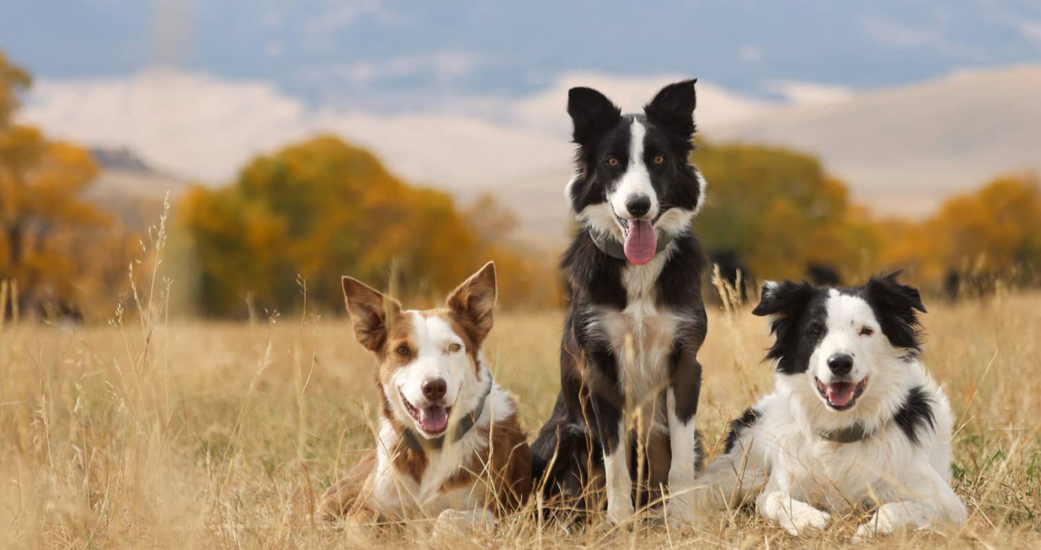 home-hero-2024v2.jpg__PID:1bb4c47f-81c2-45e2-a0cd-ef13727ed442